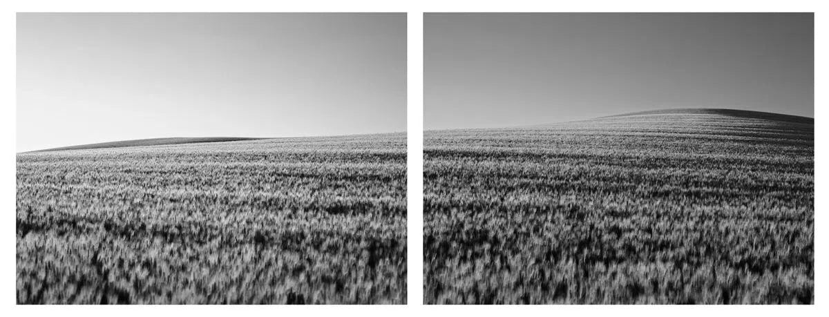 Moon Harvest Diptych, by Dale Hedden-PurePhoto