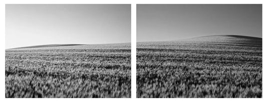 Moon Harvest Diptych, by Dale Hedden-PurePhoto