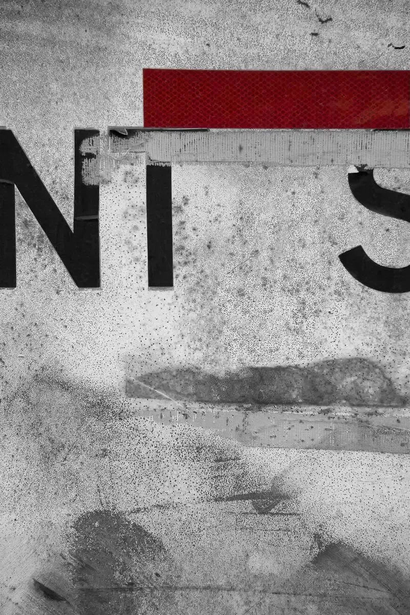 NT-S, by Grace Macqueen-PurePhoto