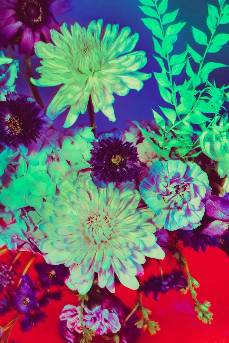 Netflix + Chill, by Javiera Estrada-PurePhoto