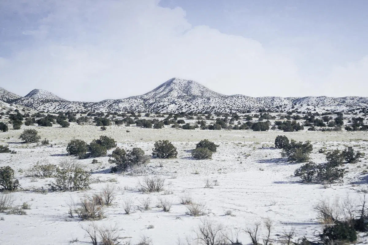 New Mexico Winter, by Mina Teslaru-PurePhoto