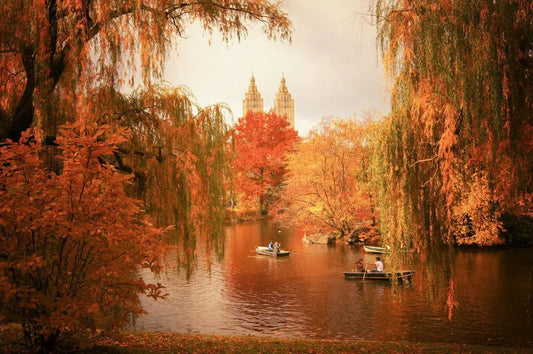 New York Autumn - Central Park Fall Foliage at the Lake, by Vivienne Gucwa-PurePhoto