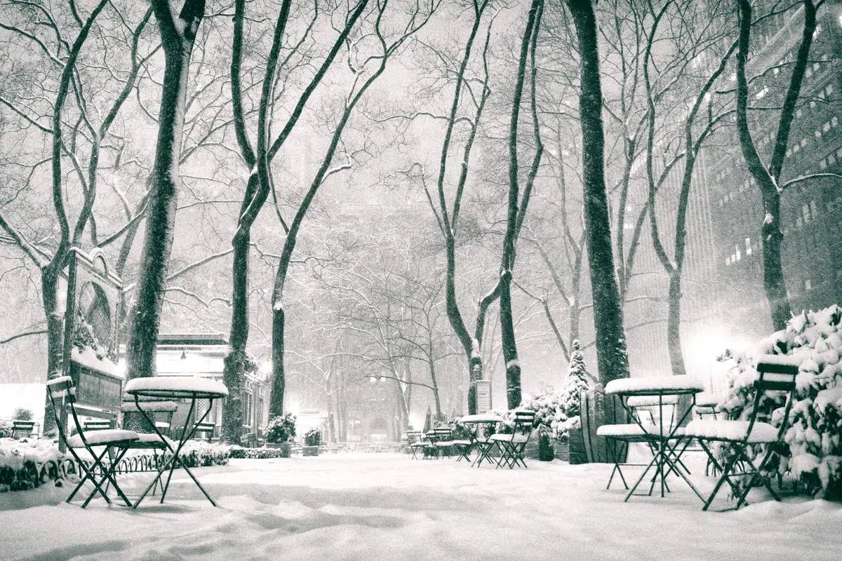 New York City - Winter Night as Snow Falls on Bryant Park, by Vivienne Gucwa-PurePhoto