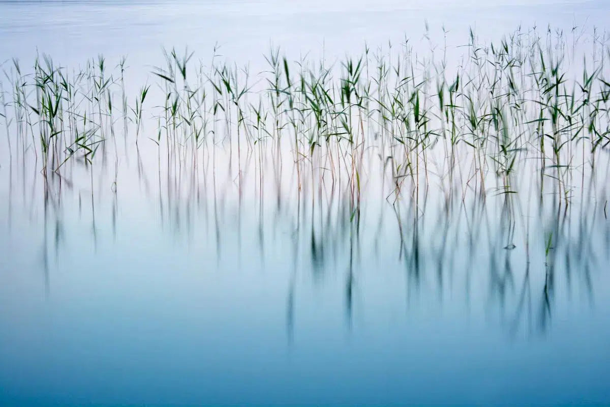 Night Mood, by Ari Salmela-PurePhoto