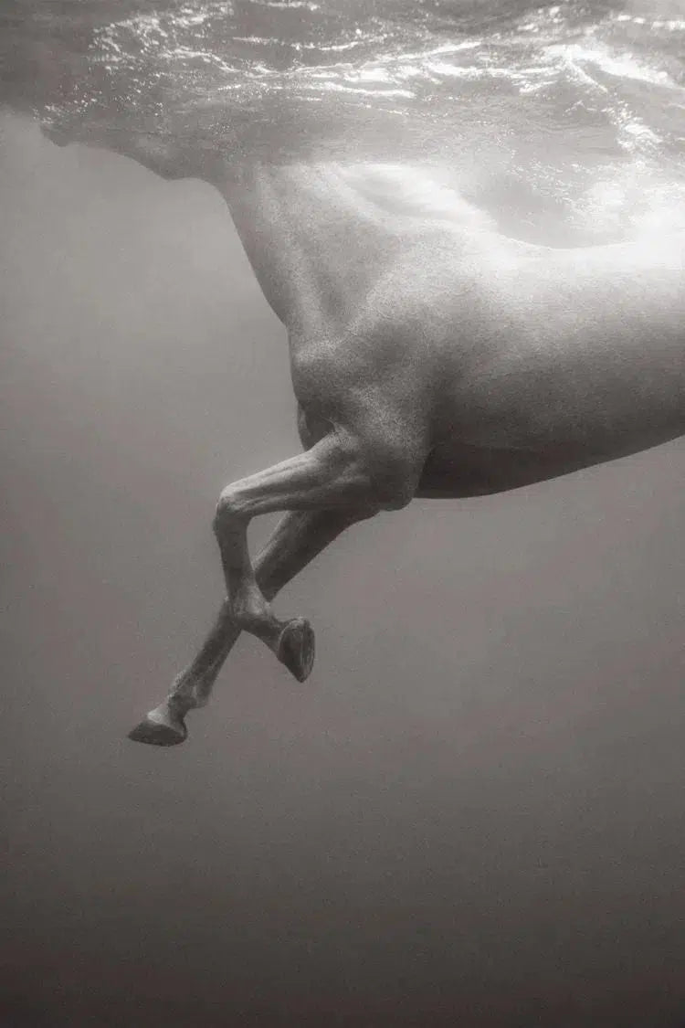 Nirvana, by Drew Doggett-PurePhoto