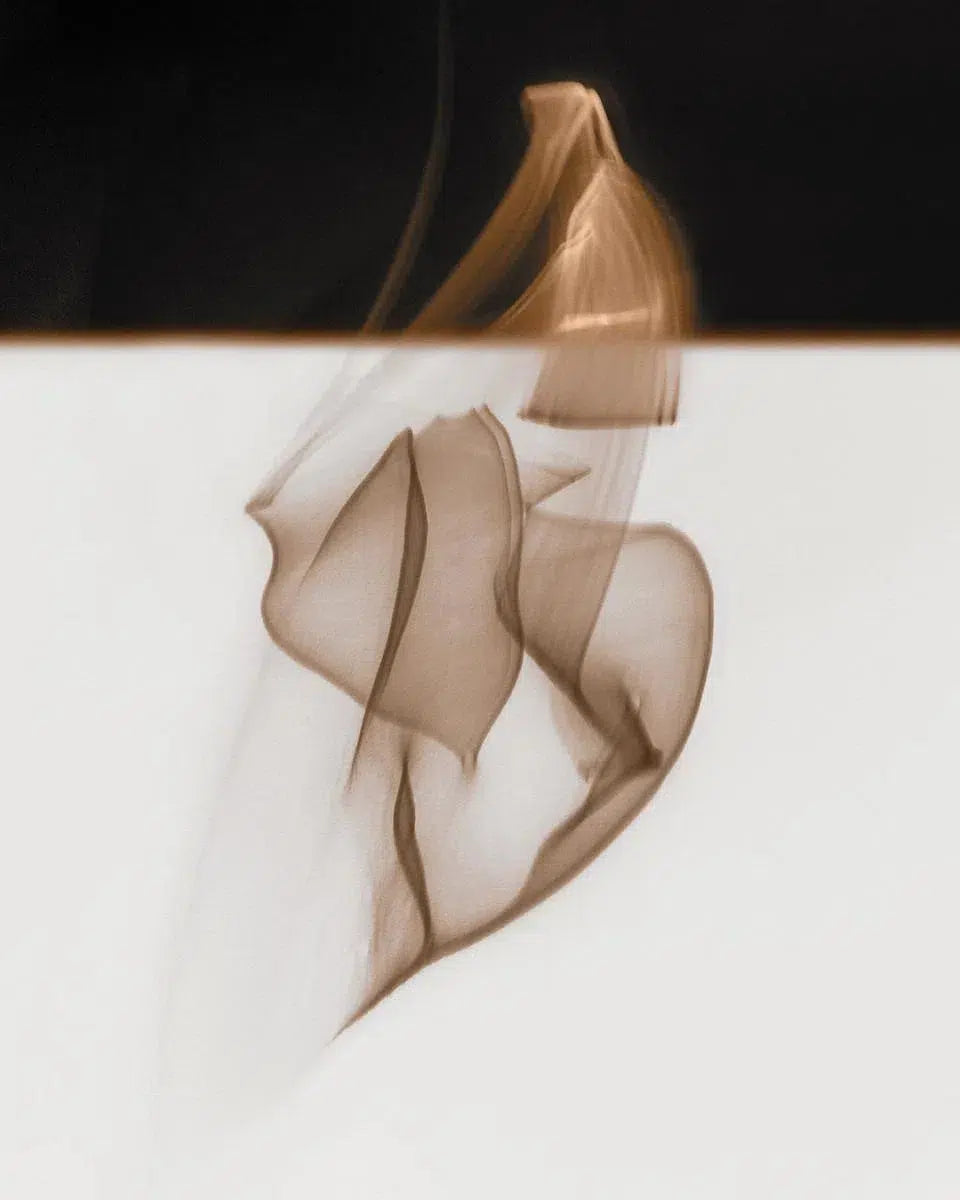 Noir Blanc 2, by Gillian Lindsay-PurePhoto