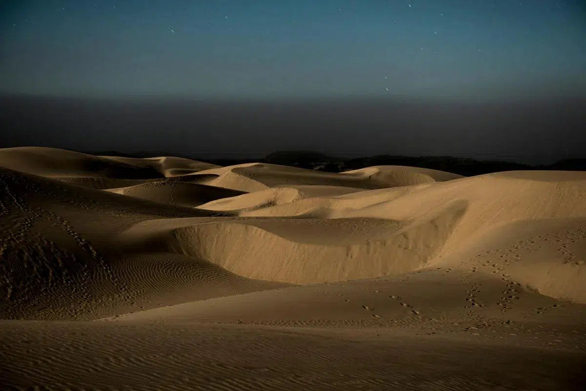 Oceano Dunes, by Garret Suhrie-PurePhoto