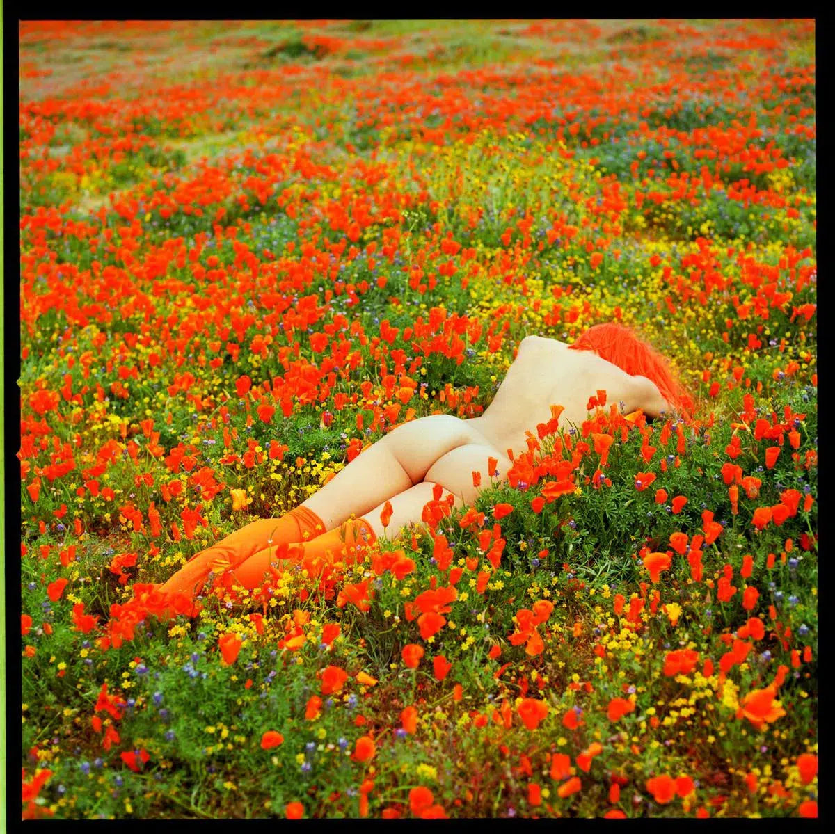 Orange Crush, by Javiera Estrada-PurePhoto
