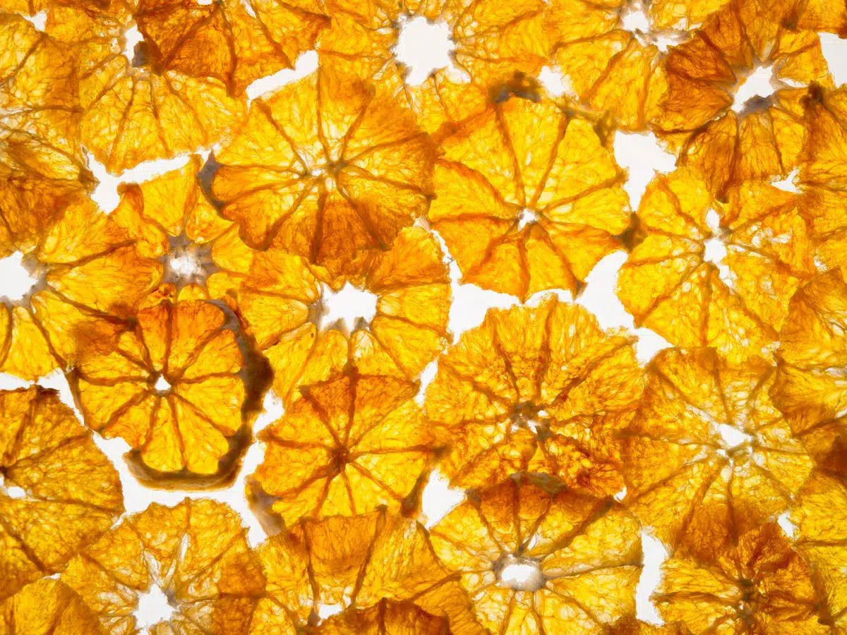 Oranges, by Ann Dahlgren-PurePhoto