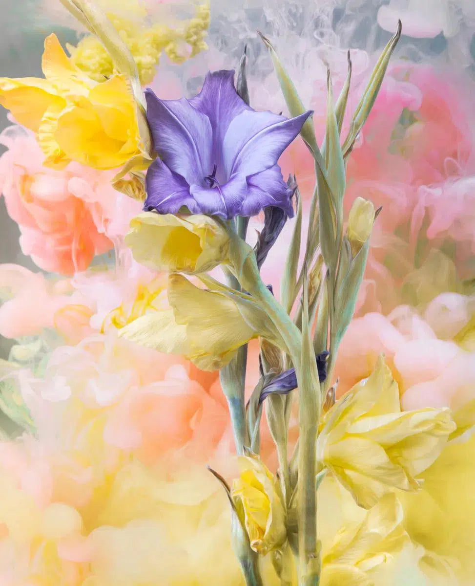 Oxytocin, by Javiera Estrada-PurePhoto