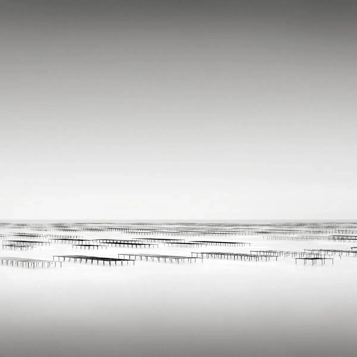Oyster Beds, Thau, France, by Jonathan Chritchley-PurePhoto