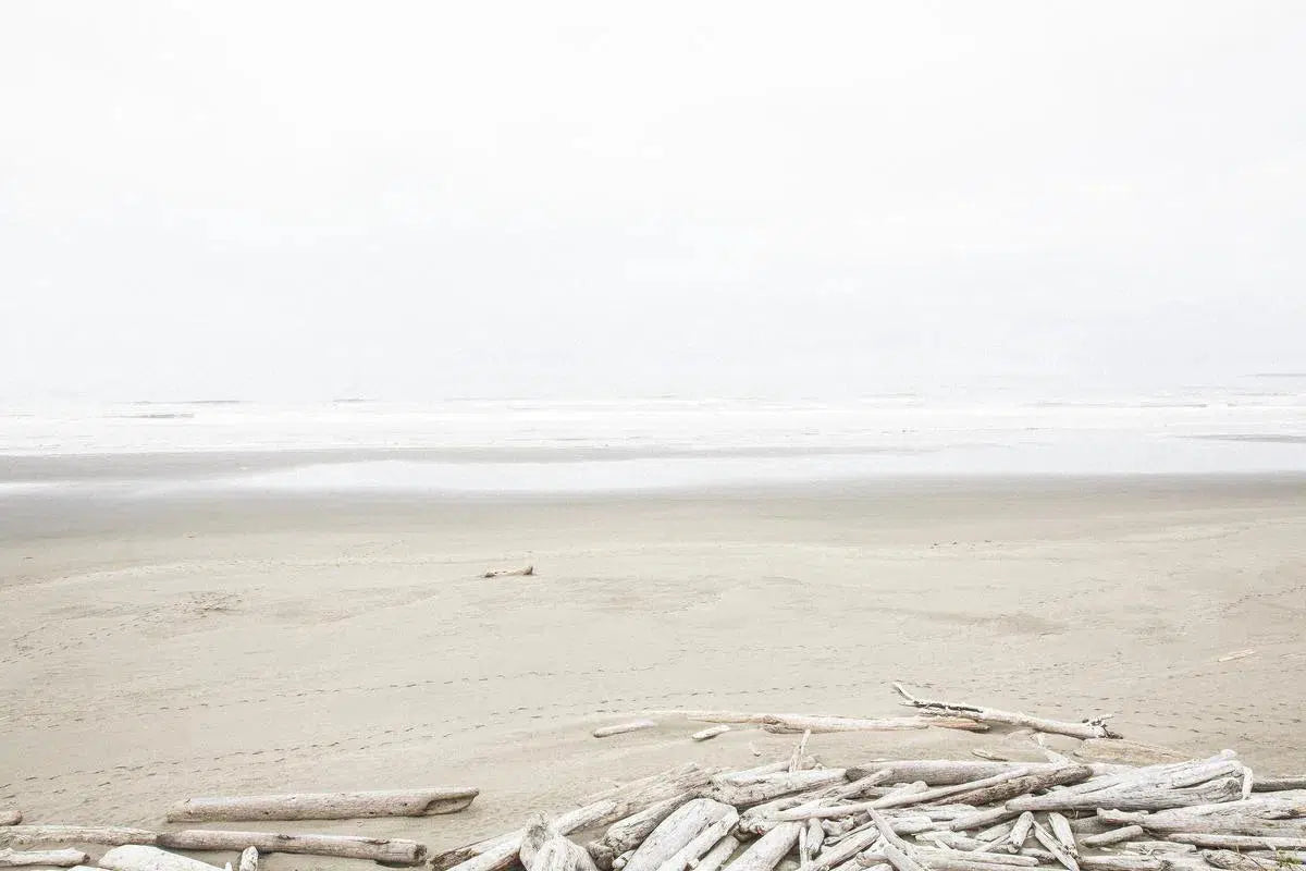Pacific Northwest Driftwood, by Simon Reif-PurePhoto
