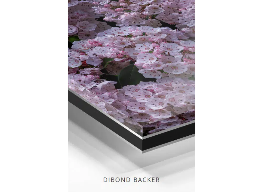 Painter's Palette, by Donn Delson-PurePhoto