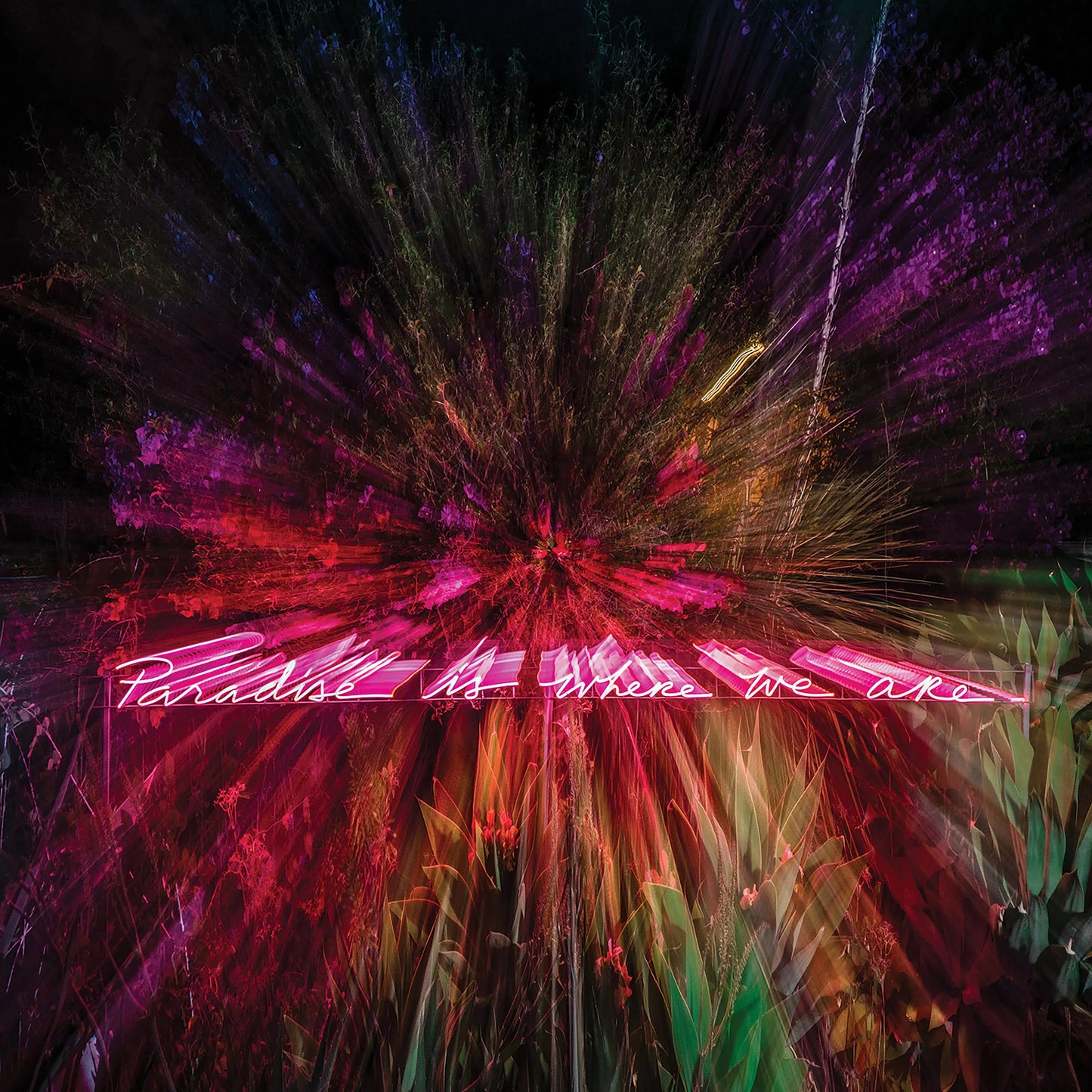 Paradise Is Where We Are, by Olivia Steele-PurePhoto