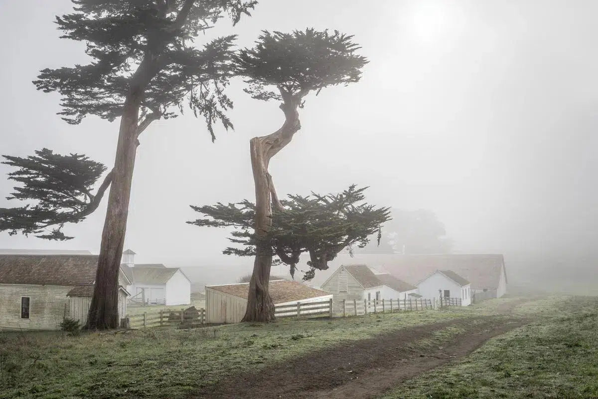 Pierce Ranch Road - Point Reyes, by Steven Castro-PurePhoto