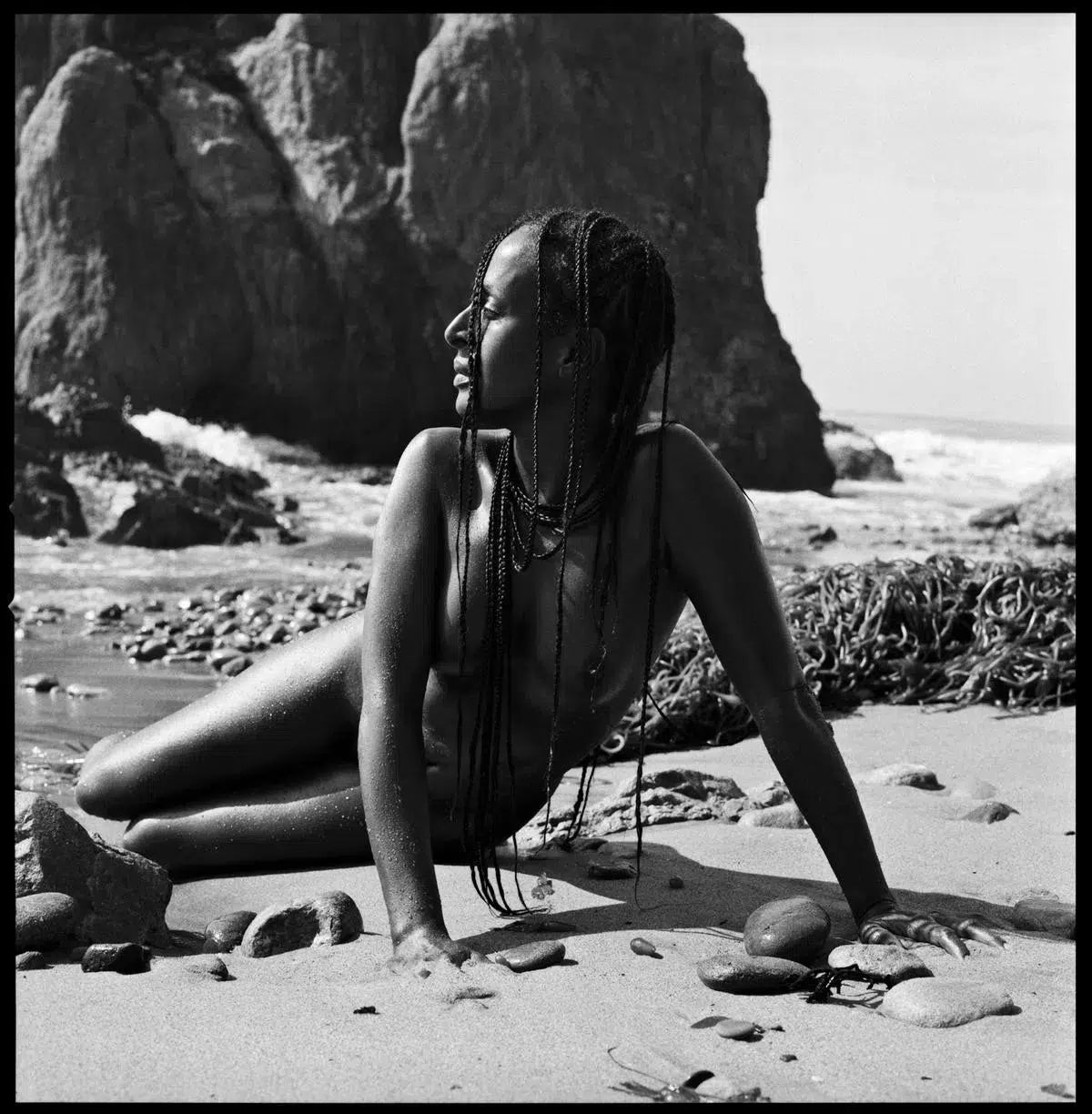 Pirate's Gold, by Javiera Estrada-PurePhoto