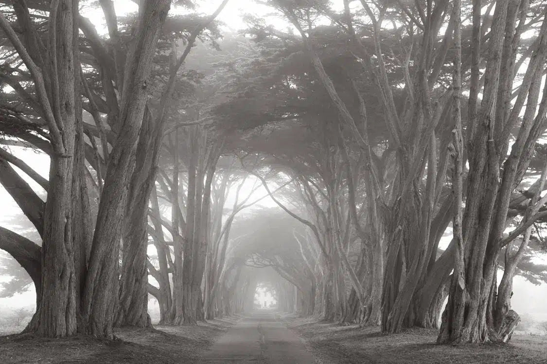 Point Reyes, by Drew Doggett-PurePhoto