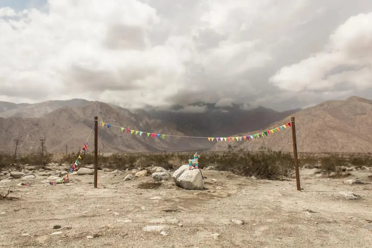 Pony Up, by Curtis Speer-PurePhoto