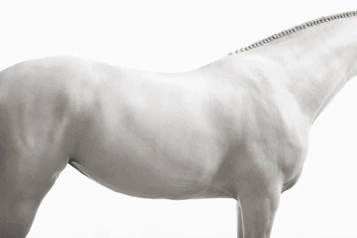 Posture Study III, by Drew Doggett-PurePhoto