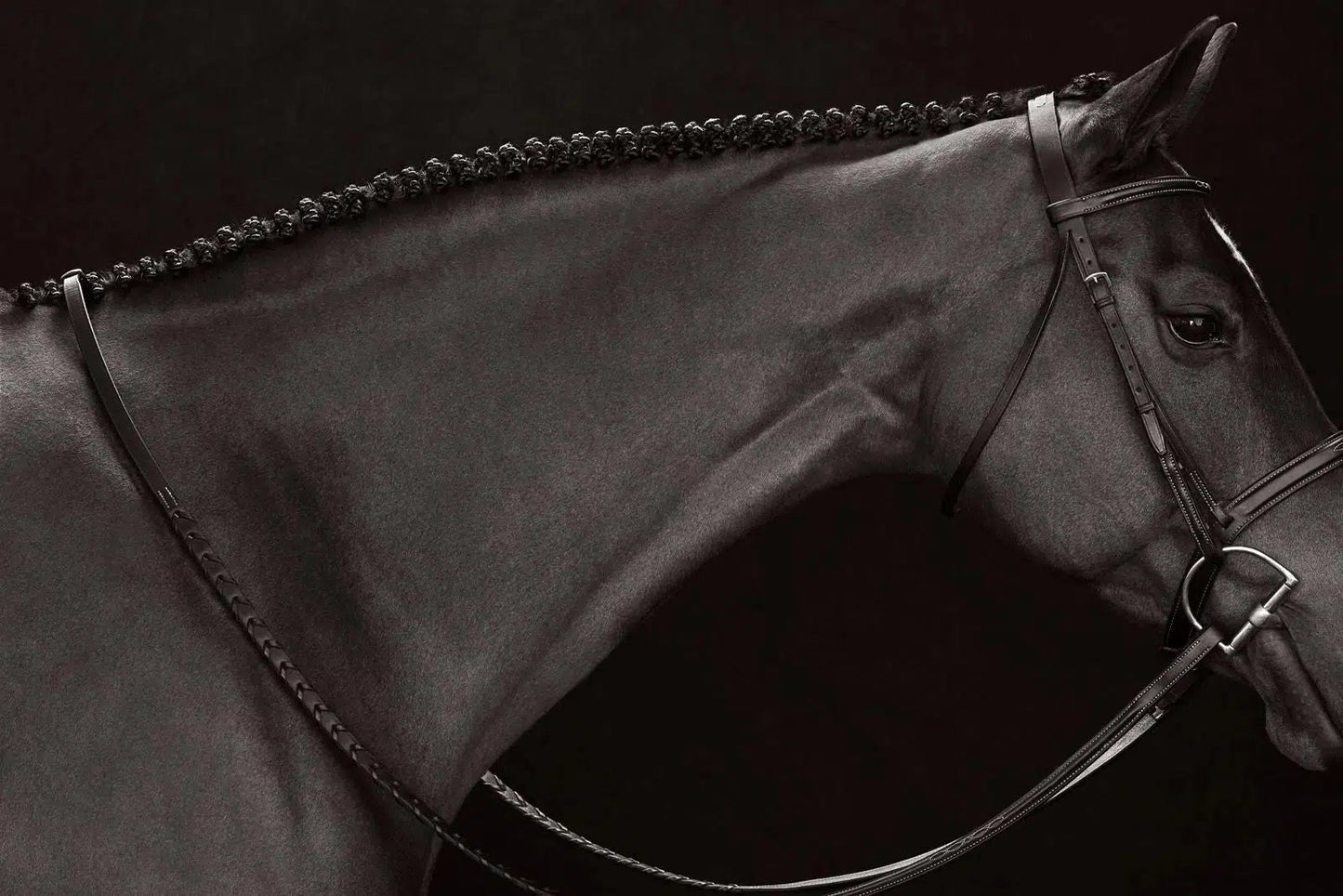 Profile in Dress I, by Drew Doggett-PurePhoto