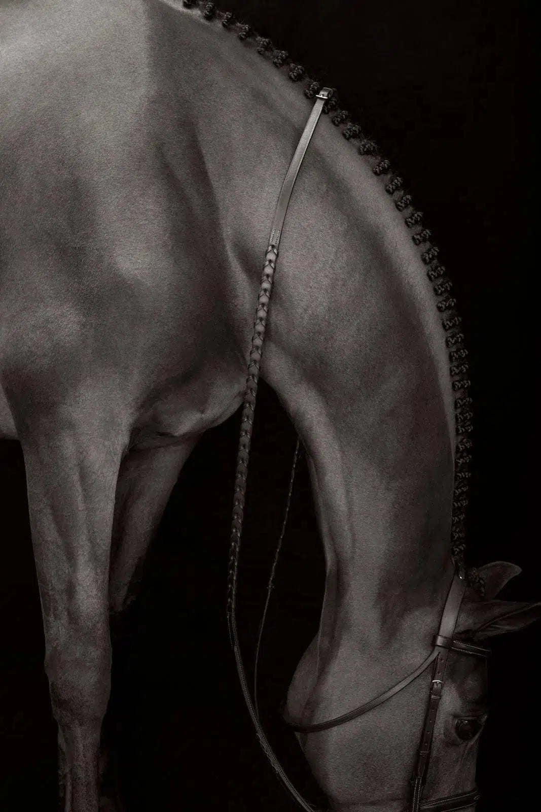 Profile in Dress II, by Drew Doggett-PurePhoto