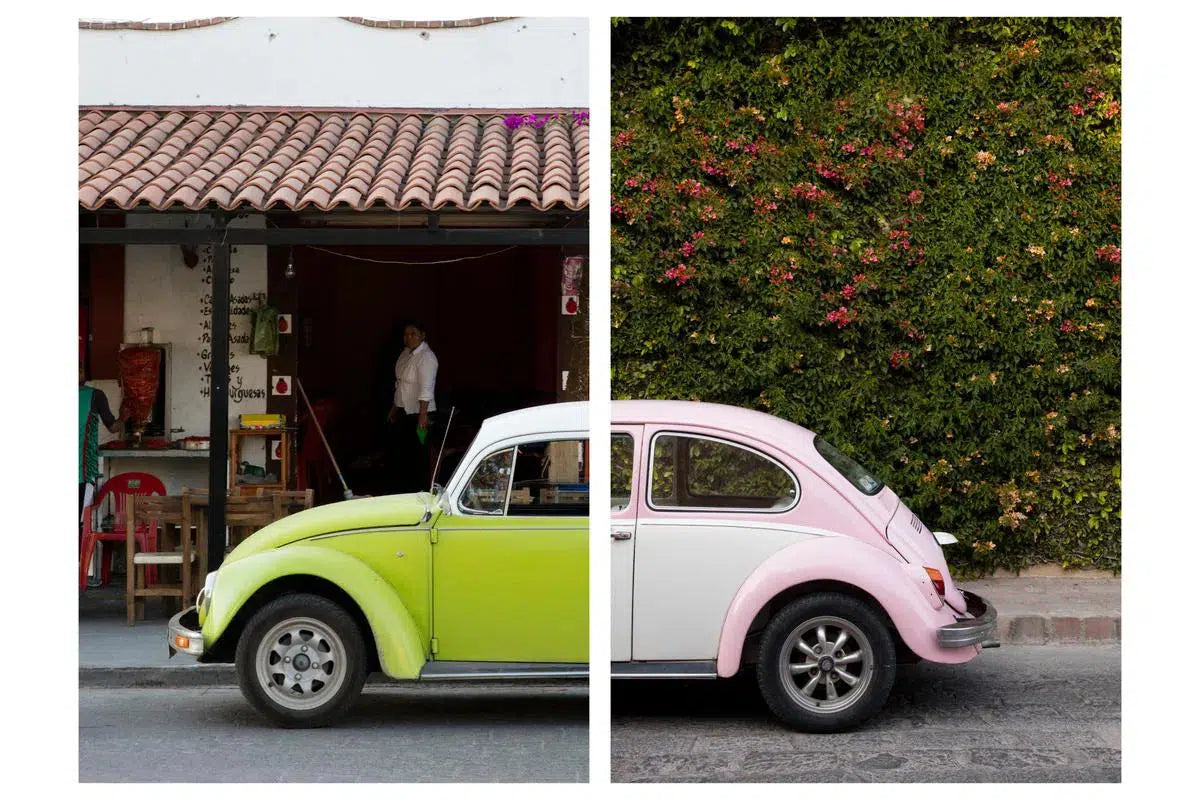 Punch Buggy #9, by Alexandra Tremaine-PurePhoto