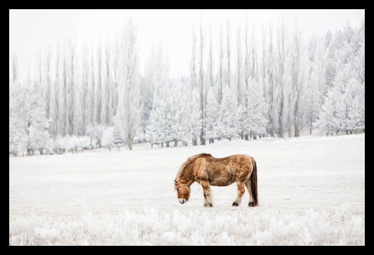 Quarter Horse, Framed-PurePhoto