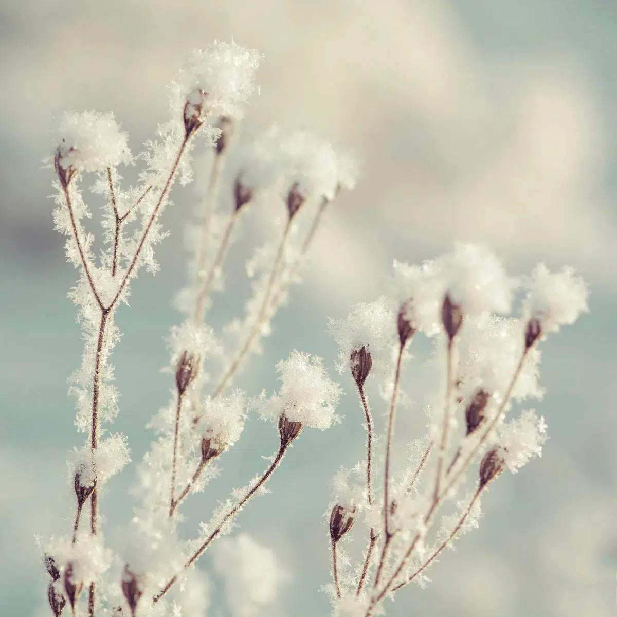 Quiet Sunday, by Ari Salmela-PurePhoto