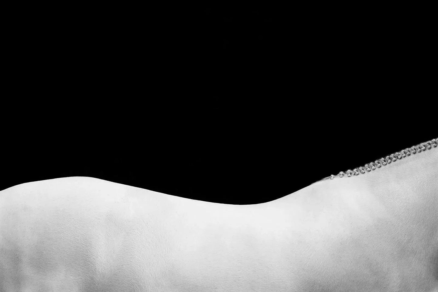 Radiance, by Drew Doggett-PurePhoto