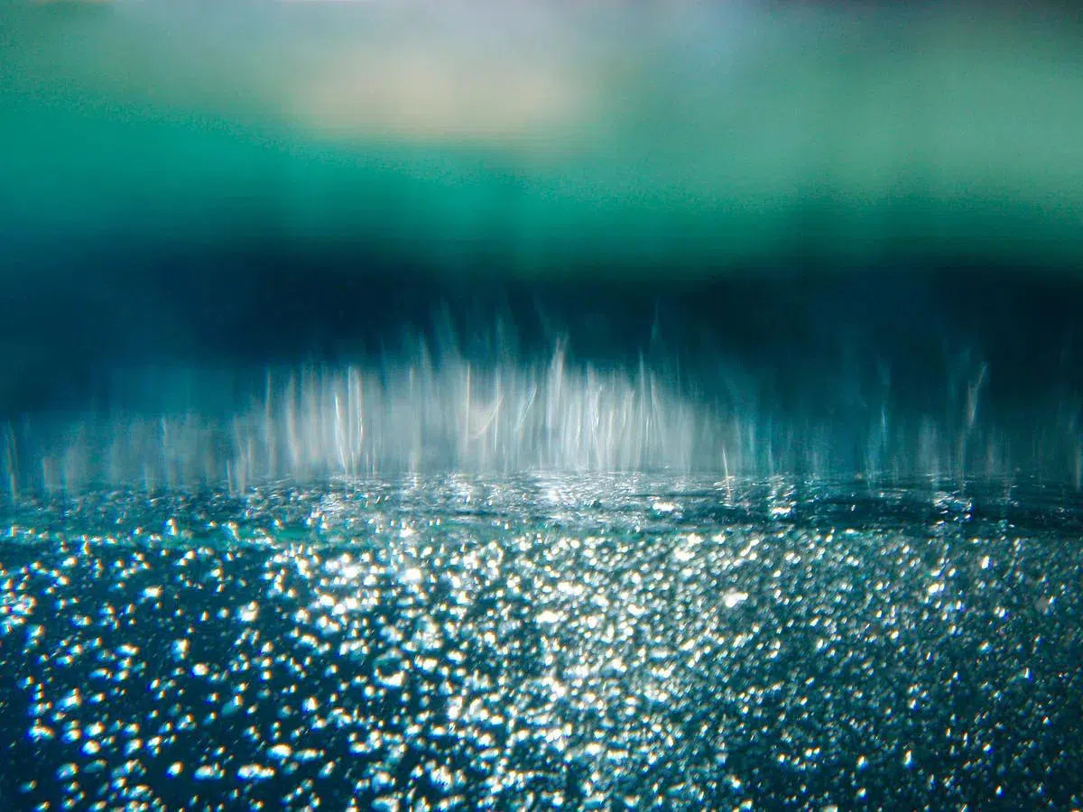 Rain, by Ann Dahlgren-PurePhoto