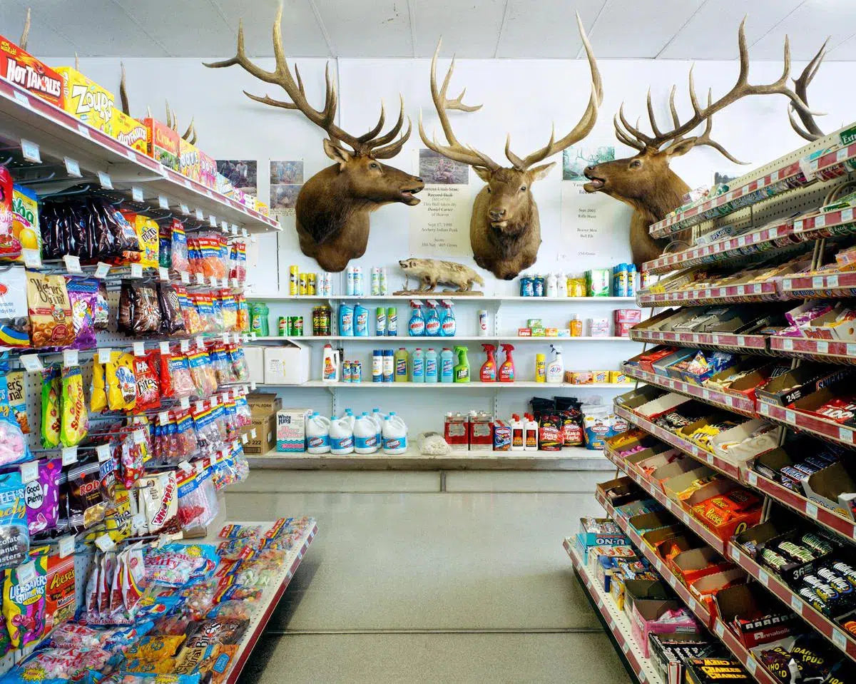 Ray's 66, Beaver Utah, by Tom Fowlks-PurePhoto