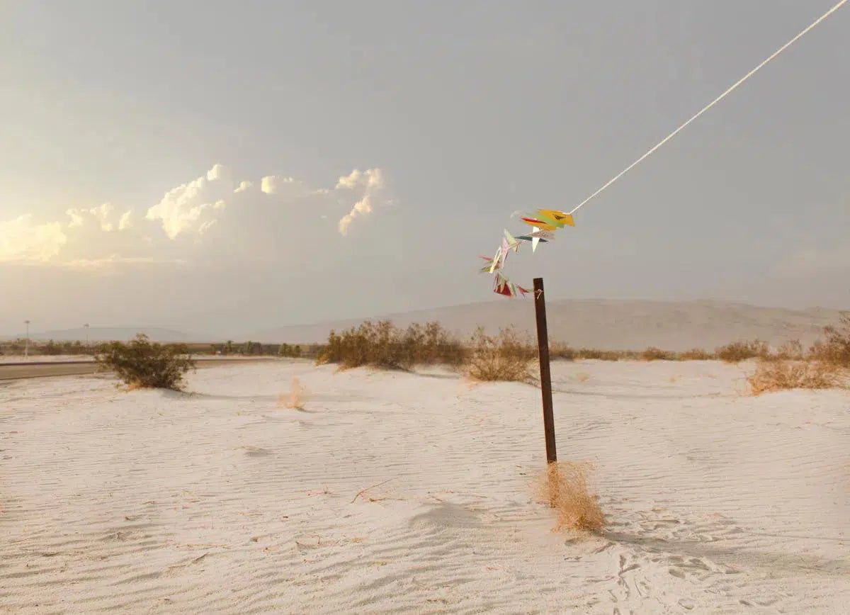 Reaching, by Curtis Speer-PurePhoto