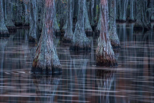 Reflections on the Bayou, by Garret Suhrie-PurePhoto