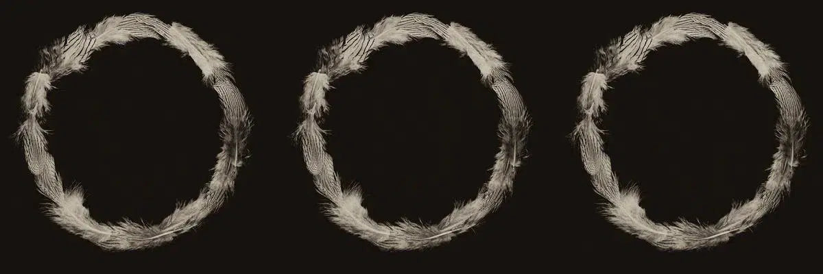 Ring of Feathers I, by Trinette + Chris-PurePhoto