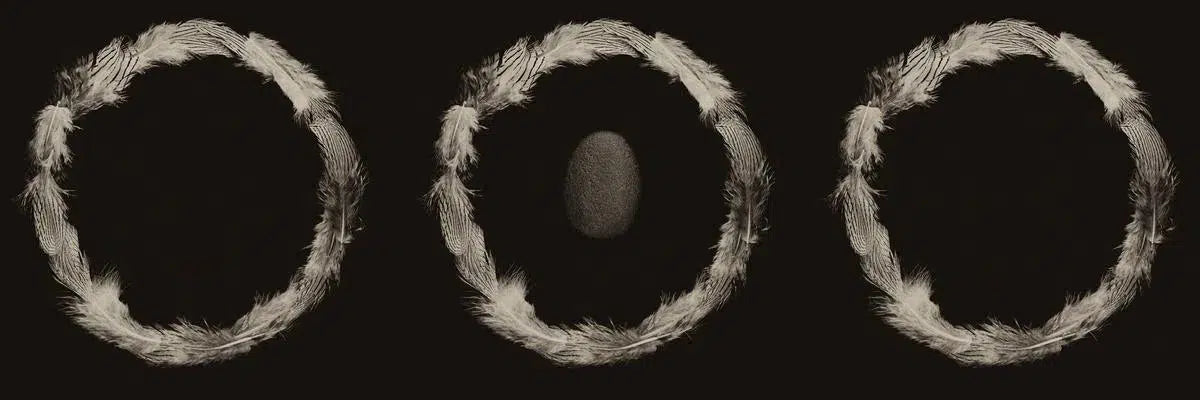 Ring of Feathers IV, by Trinette + Chris-PurePhoto