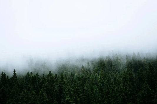Rocky Mountain Mist, by Simon Reif-PurePhoto
