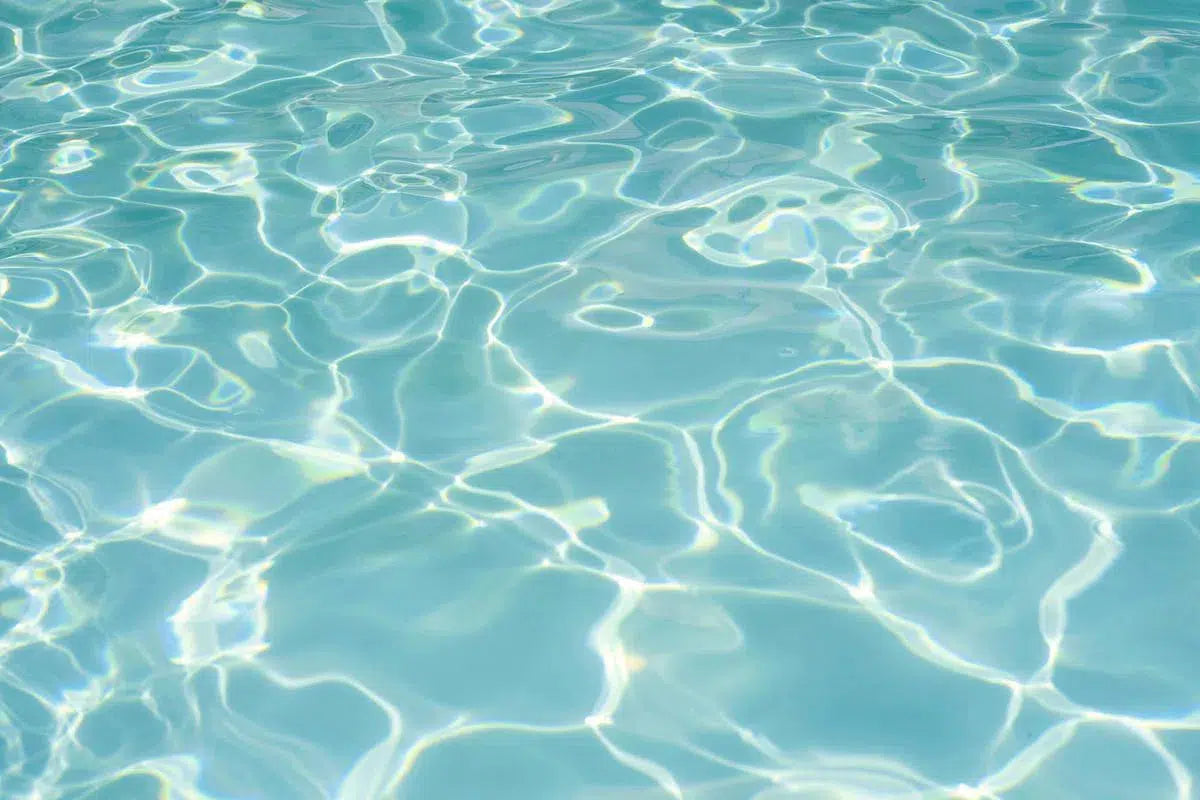 SNAP*LUXE #44, by Bryony Shearmur-PurePhoto