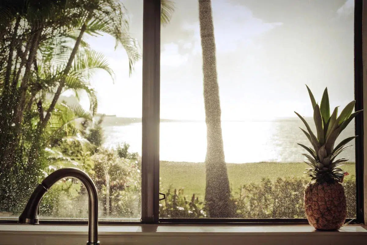 SNAP*LUXE #72, by Bryony Shearmur-PurePhoto