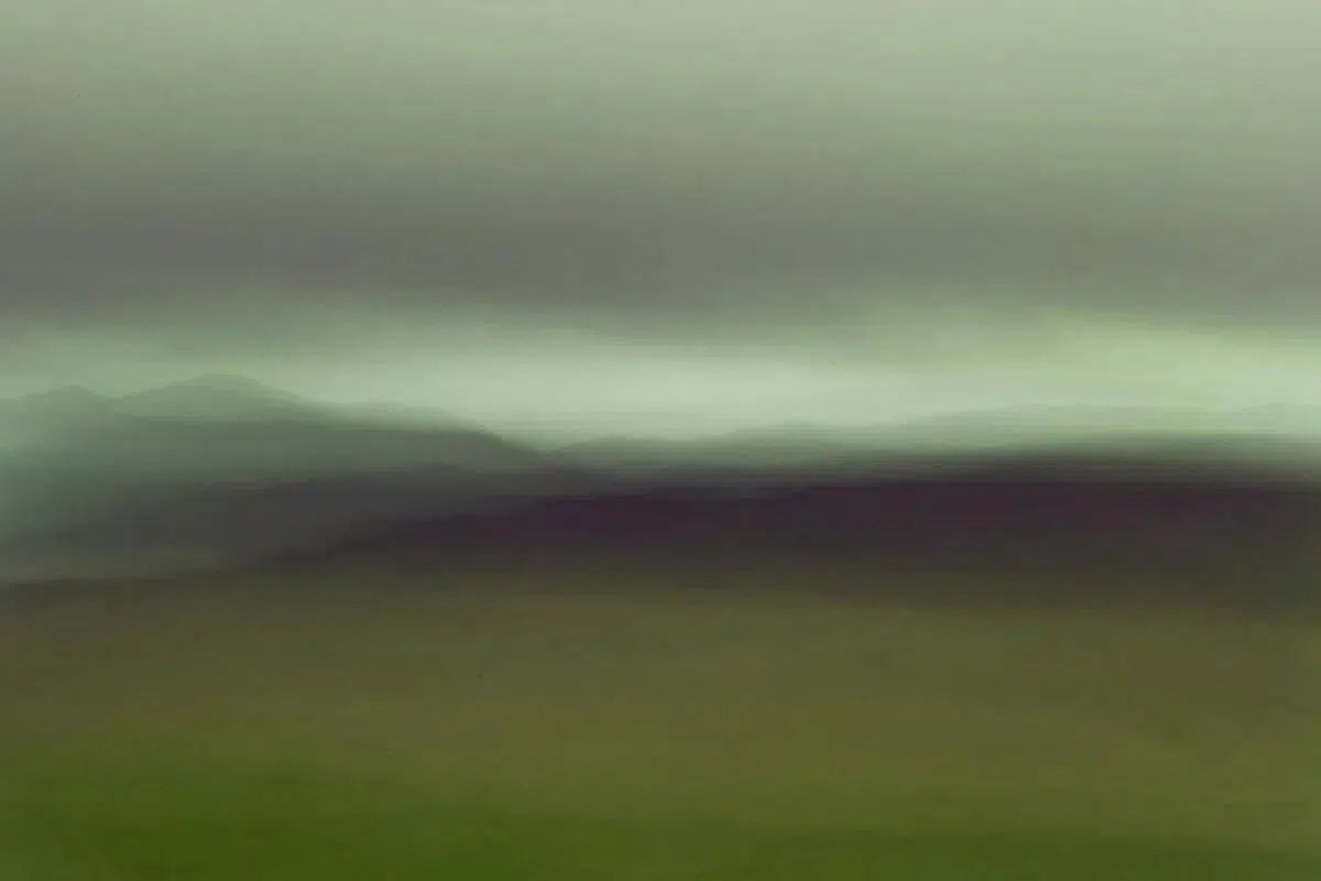 Soft Meadow, by Christina Craemer-PurePhoto