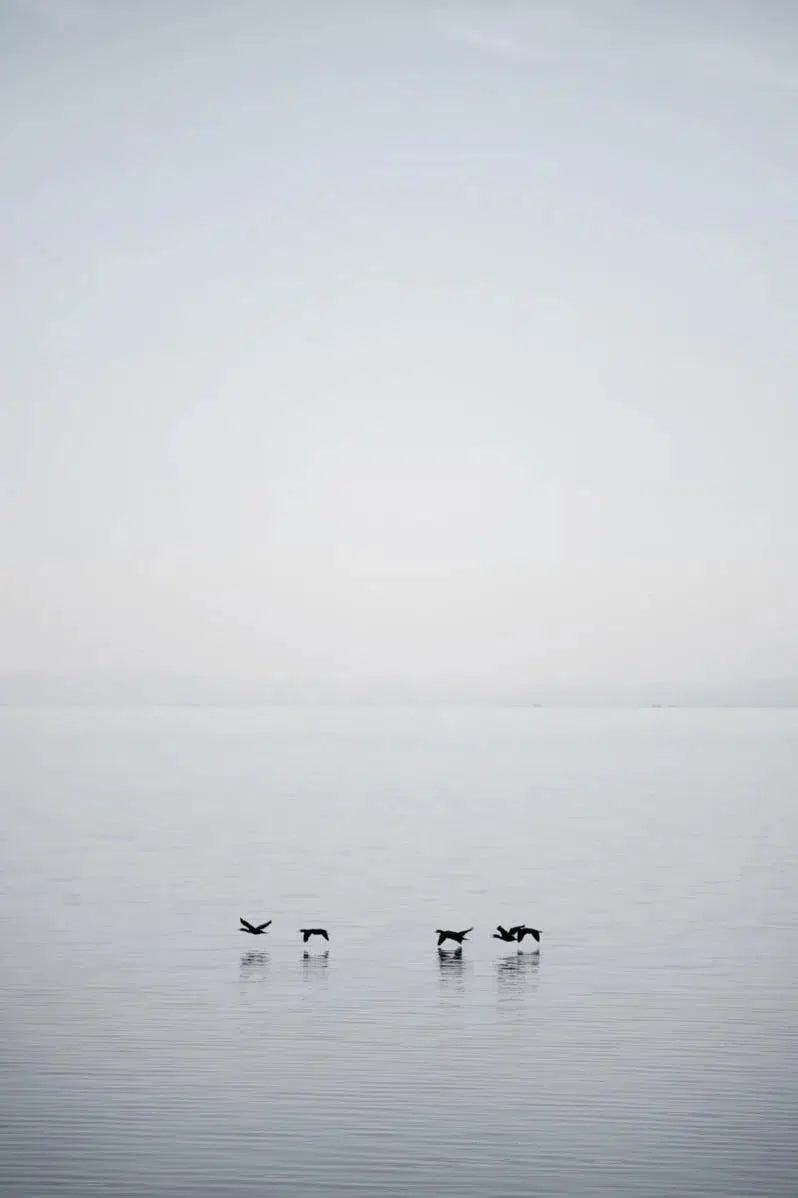 Salton Calm II, by Mike Kelley-PurePhoto