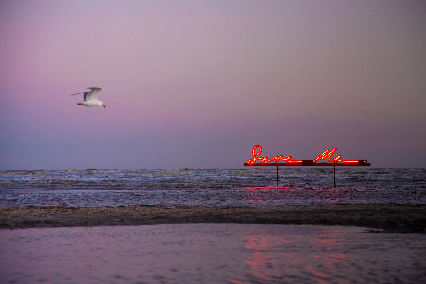 Save Me, by Olivia Steele-PurePhoto