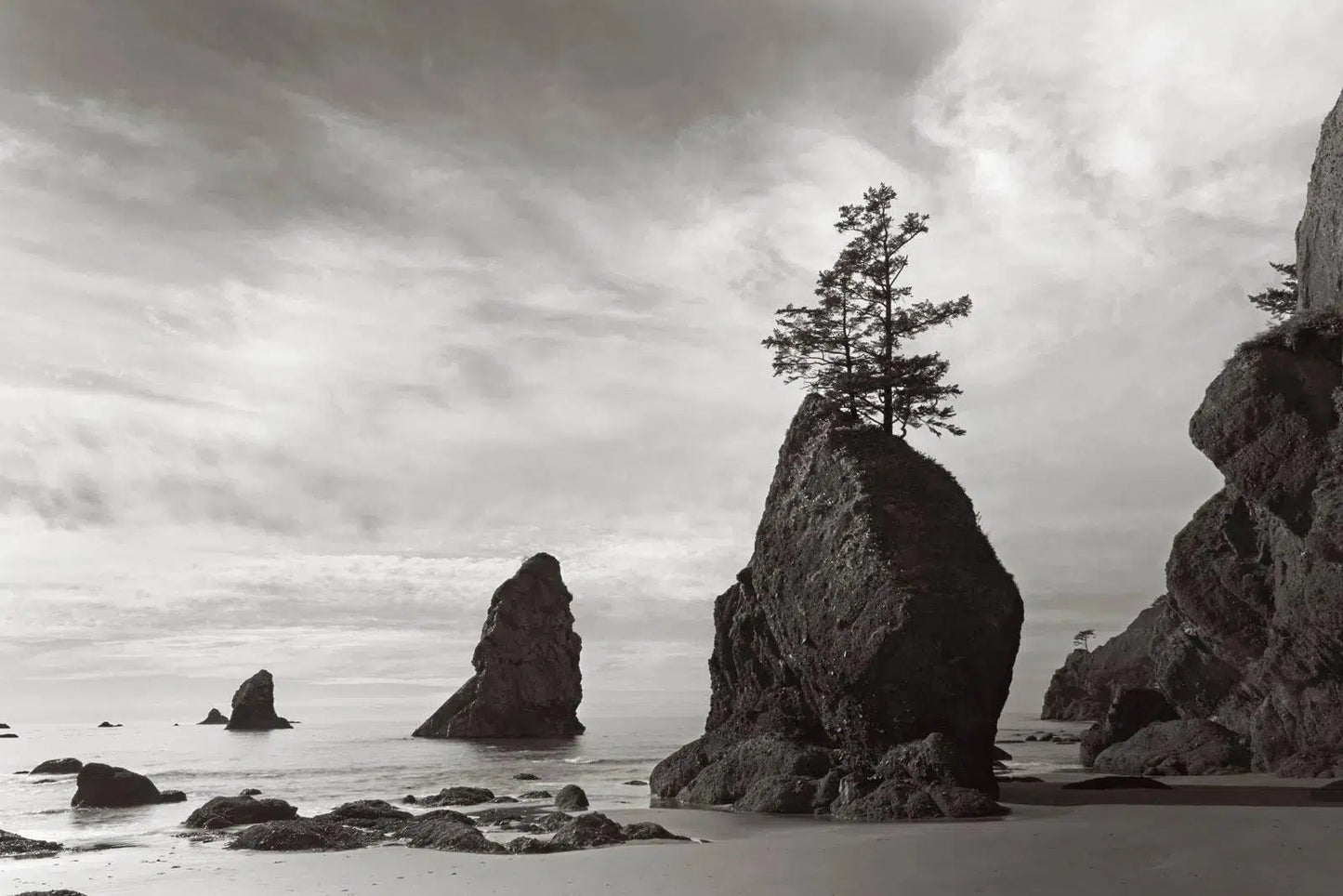 Sea Stacks, by Drew Doggett-PurePhoto