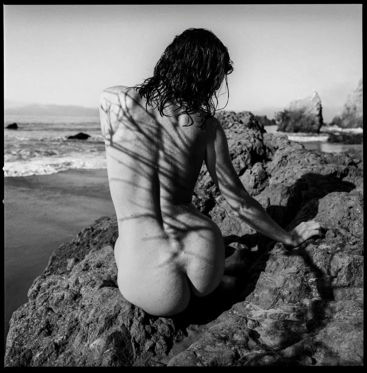 Shadows, by Javiera Estrada-PurePhoto