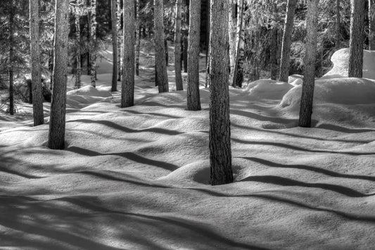 Shadows of Nature, by Ari Salmela-PurePhoto