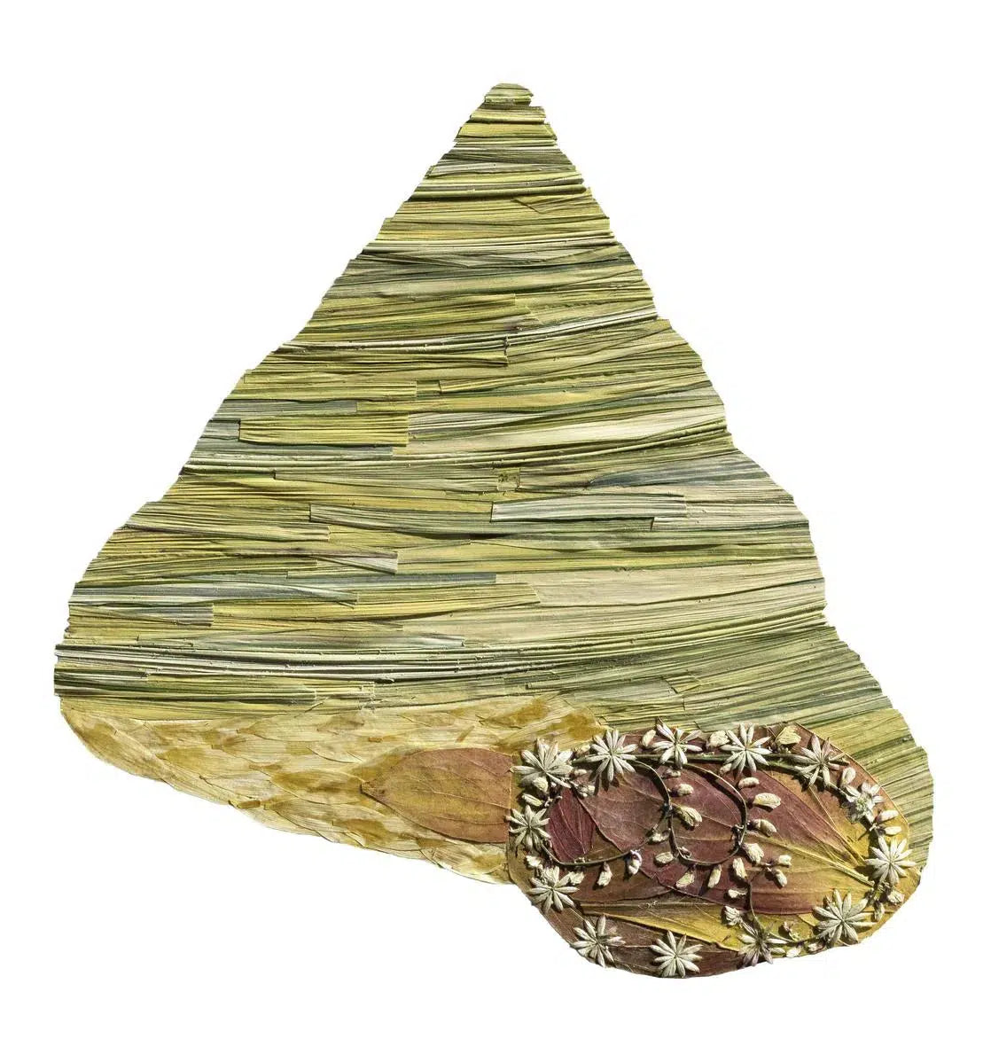 Shell #2, by Amanda McCauley-PurePhoto