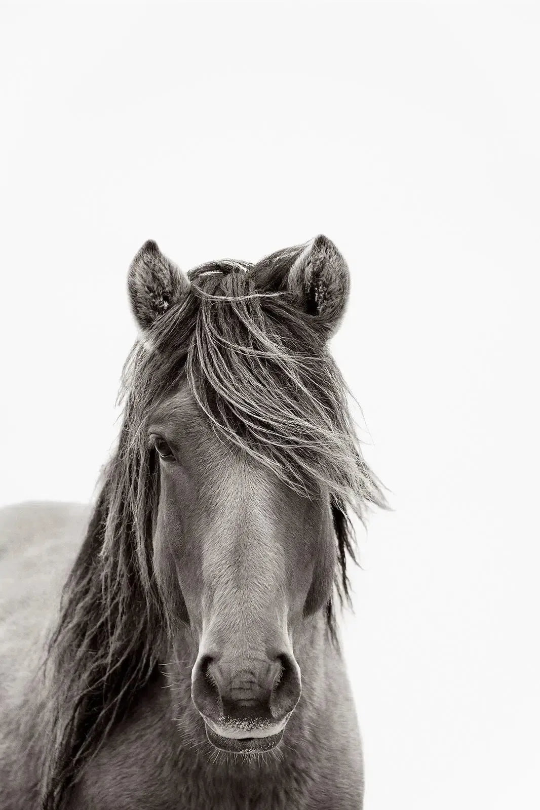 Silent Grace, by Drew Doggett-PurePhoto