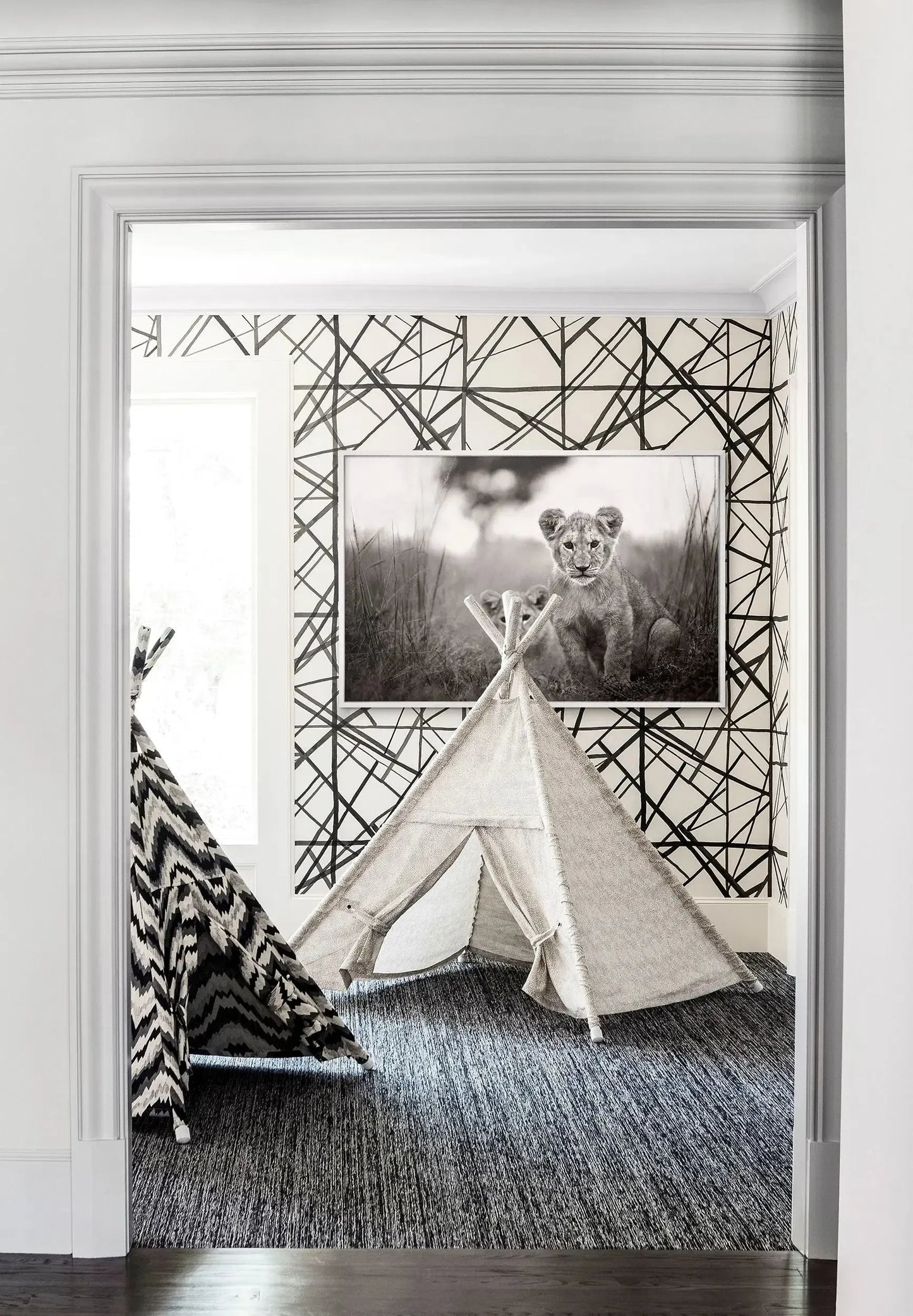 Simba Simba, by Drew Doggett-PurePhoto