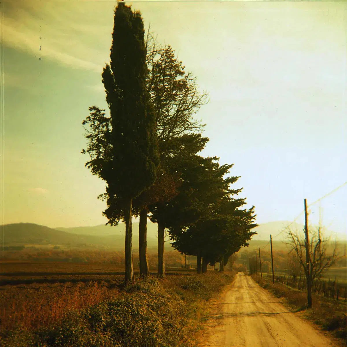 Simple Land, by Andrea Buzzichelli-PurePhoto