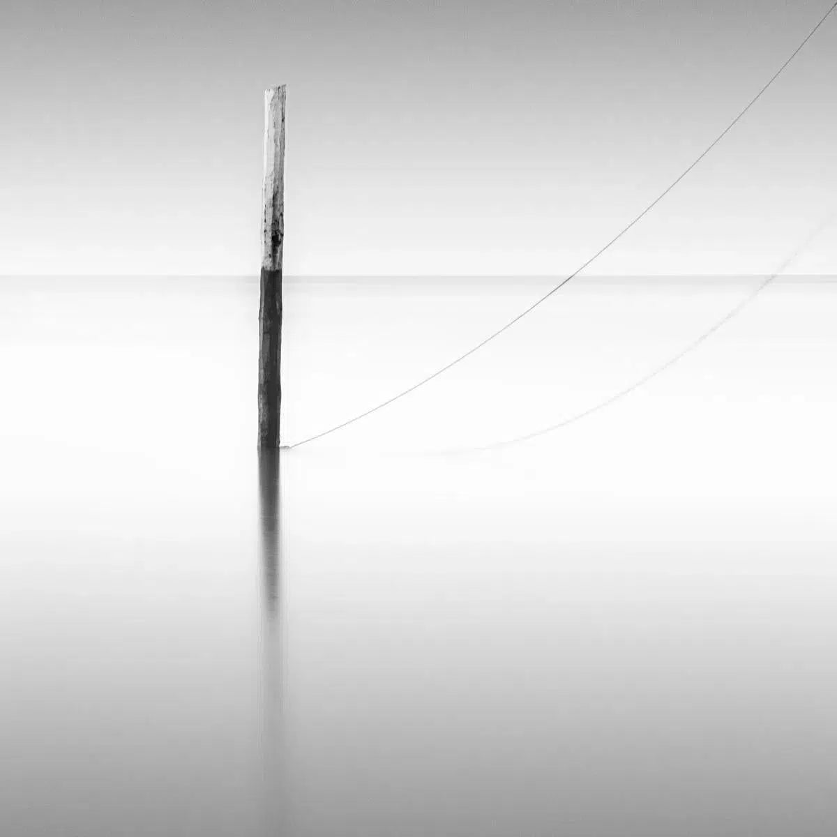 Simplicity, by Maggy Morrissey-PurePhoto