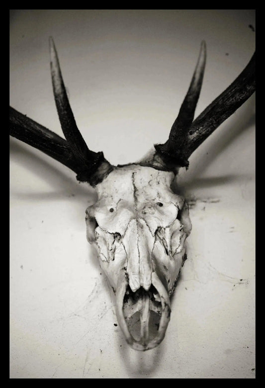 Skull I, Argentina, Framed-PurePhoto